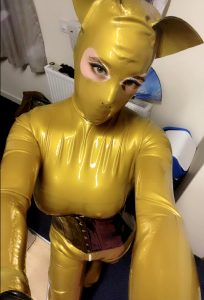 Tis The Season! 💛