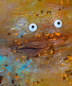 Happy Halloween You’re Being Watched