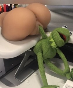 It’s Opposite Day!