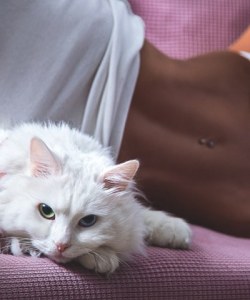 Nice Vividessentials