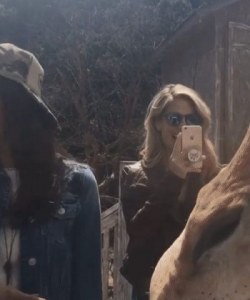 Thanks For The Kiss, Now Take The Carrot